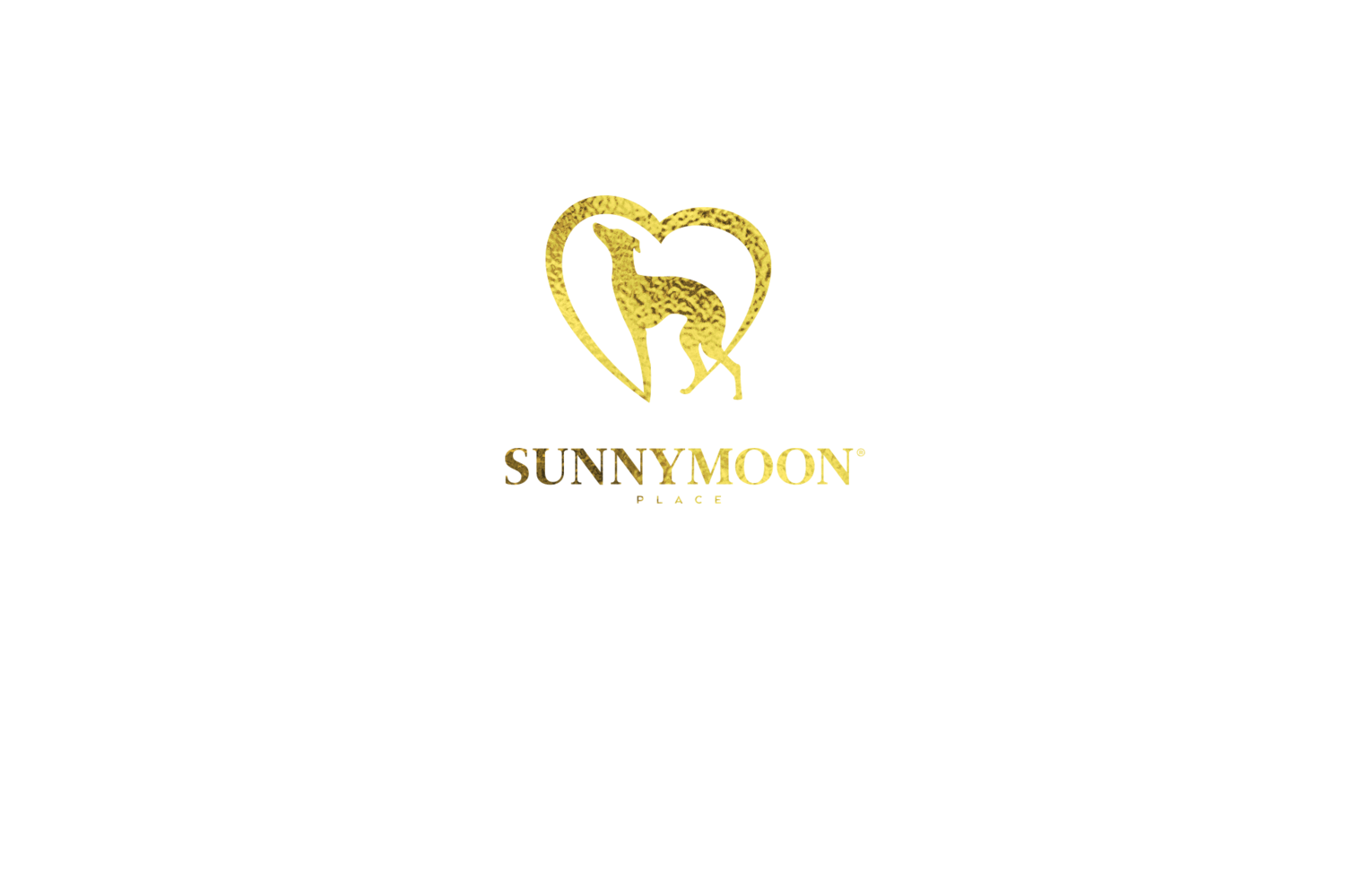 <span style="font-weight: bold;">X&nbsp; SUNNYMOON PLACE&nbsp;</span>